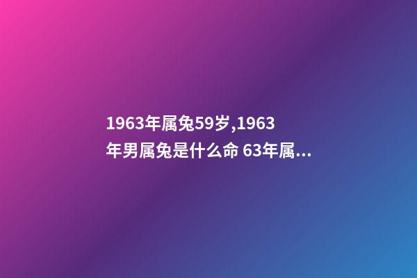 1963年属兔59岁,1963年男属兔是什么命 63年属兔的2022年的运势,63年属兔2023年运程及运势-第1张-观点-玄机派